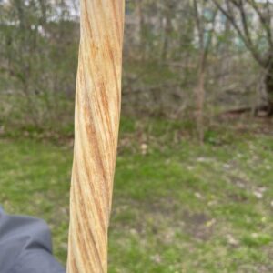 narwhal tusks for sale