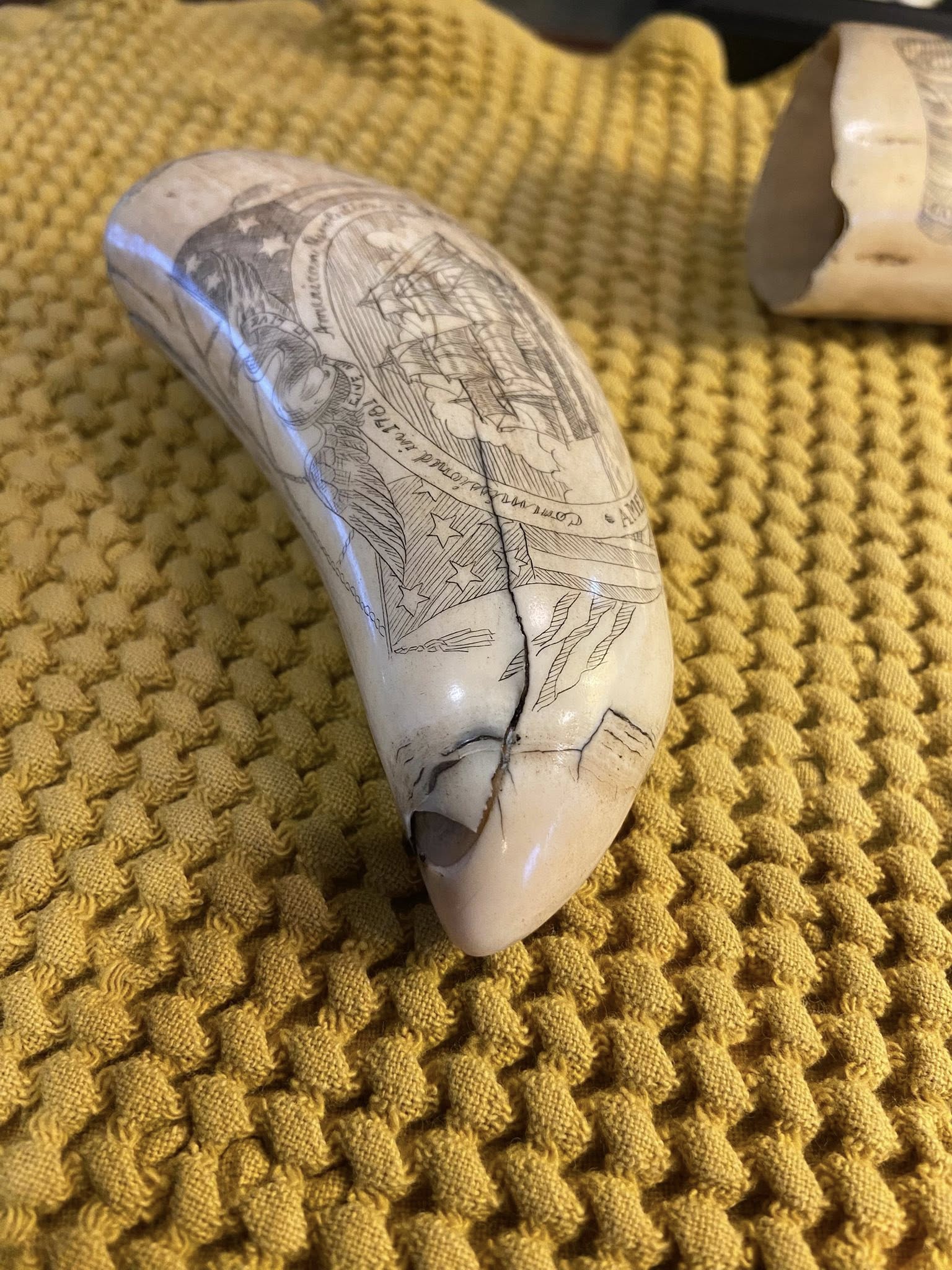 whale ivory for sale