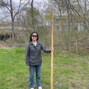 Narwhal Tusk for Sale