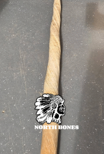 Narwhal Tusk for Sale
