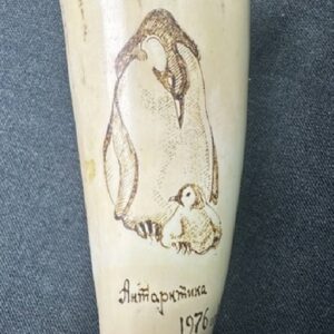 Whale Ivory For Sale