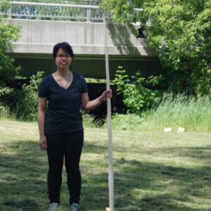 Narwhal Tusk For Sale