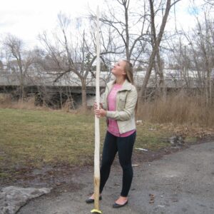 Authentic Narwhal Tusk