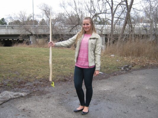 Vintage Narwhal Ivory